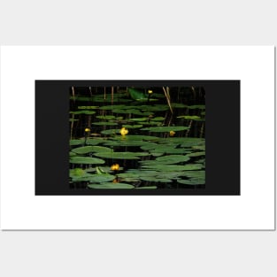 Night Descends On The Lily Pond Posters and Art